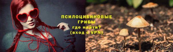 2c-b Гусиноозёрск