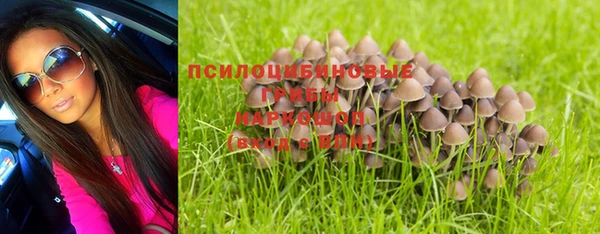 метамфетамин Гусев