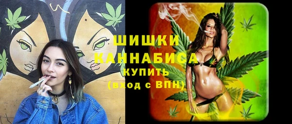 2c-b Гусиноозёрск