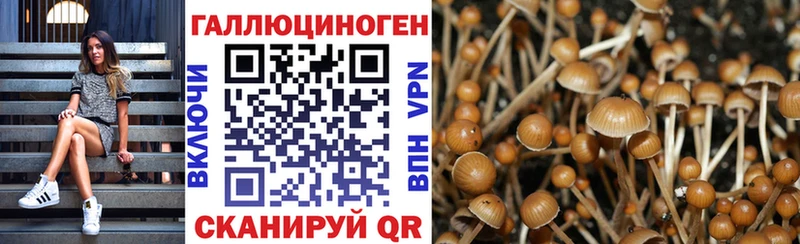 Псилоцибиновые грибы MAGIC MUSHROOMS  Купить где  Усть-Лабинск 